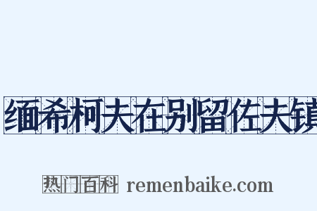 缅希柯夫在别留佐夫镇是什么意思的图片